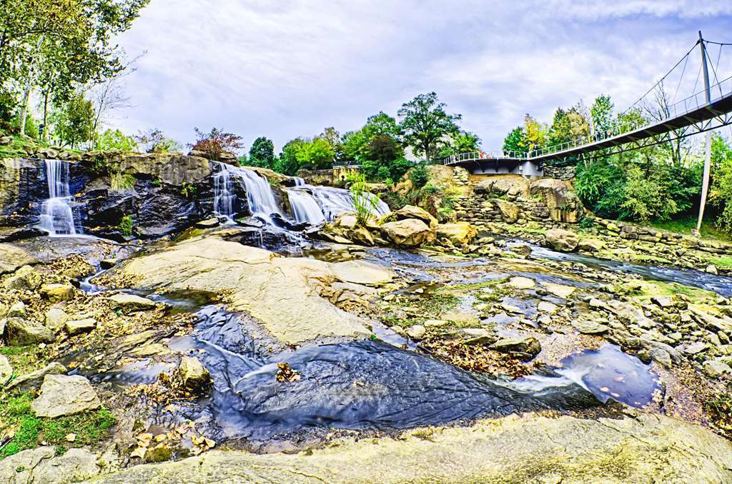 Hilton Garden Inn Greenville Bekvämligheter bild